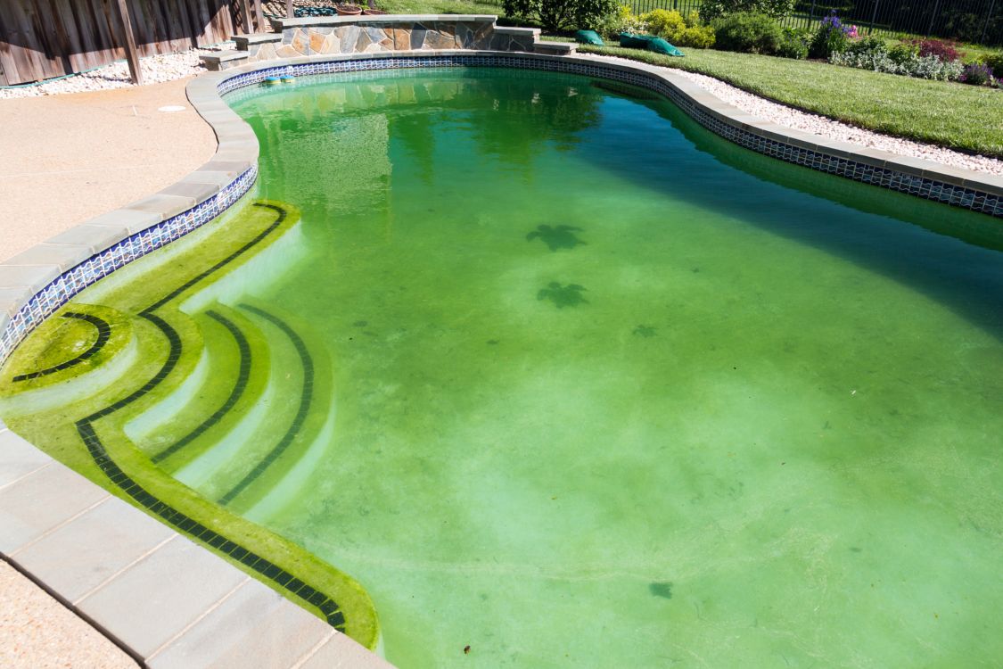 Pool vacuuming service in Westminster